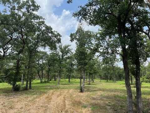4417 County Road 801, Joshua, TX 76058