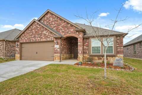 10423 Twisting Springs Drive, Aubrey, TX 76227
