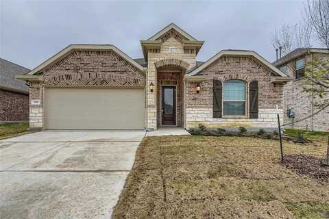 1721 Orcagna Drive, Little Elm, TX 75068