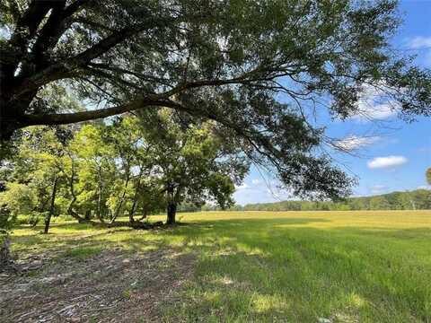 Lot 5b Rains County Road 2420, Alba, TX 75410