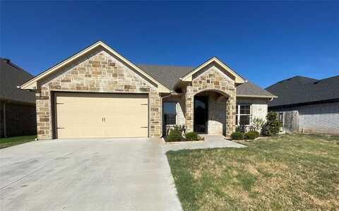 3209 White Horse Drive, Granbury, TX 76049