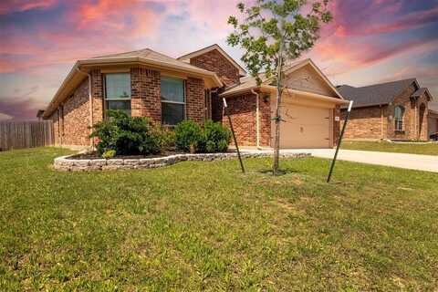 313 Fairgrounds Lane, Ponder, TX 76259