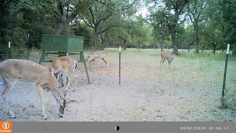 Tbd Fm-1702, Gustine, TX 76455