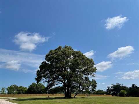 Lot 5a Rains County Road 2420, Alba, TX 75410