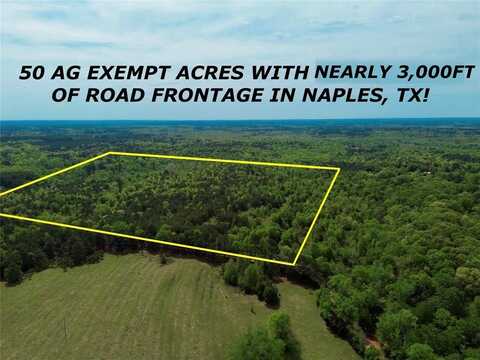 0 County Road 2742, Naples, TX 75568