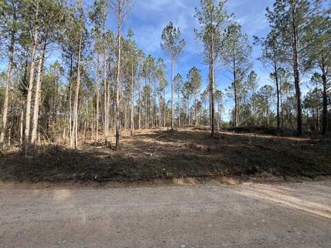 0 Co Rd 253, Refuge, AL 35046