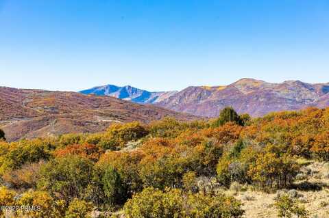 3564 E Wishbone Place, Kamas, UT 84036