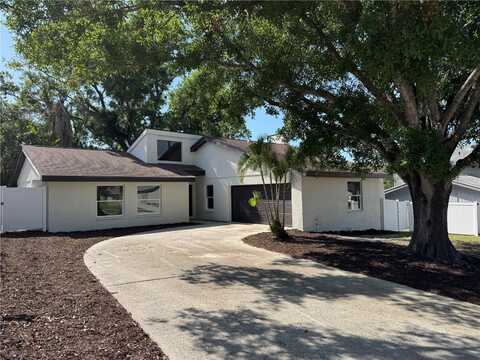 3924 ORCHARD HILL CIRCLE, PALM HARBOR, FL 34684