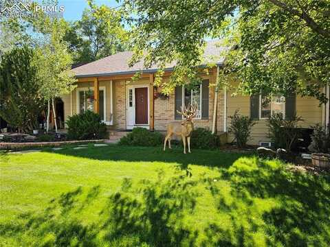 695 W Saddlemountain Road, Colorado Springs, CO 80919