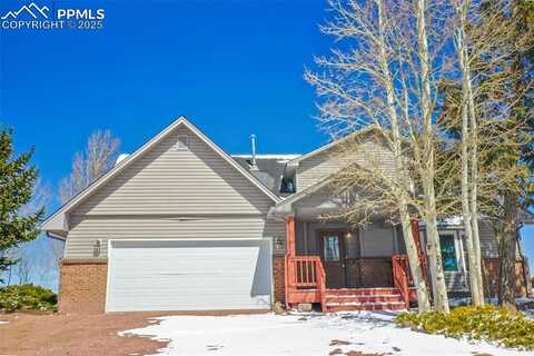 251 County Road 25, Divide, CO 80814
