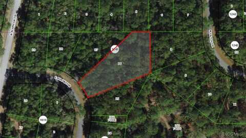 823 E Bimini Drive, Dunnellon, FL 34434