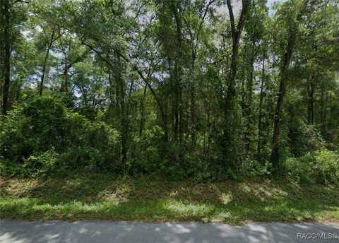 Lots 97 98 99 & 100 N Rooks Avenue, Inverness, FL 34453