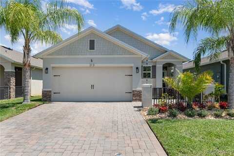 213 Caryota Court, New Smyrna Beach, FL 32168