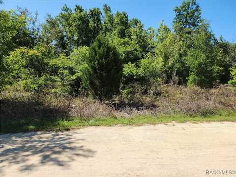 2405 Wilson Street, Inverness, FL 34453