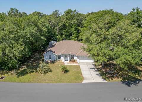 87 Sycamore Circle, Homosassa, FL 34446