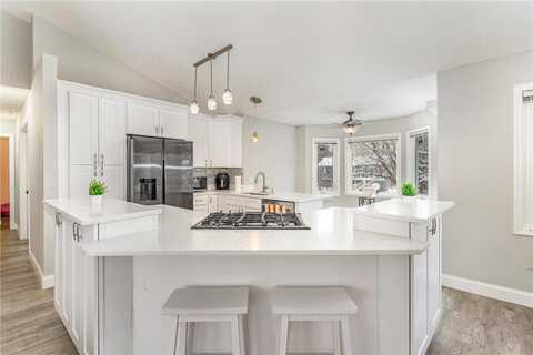 17341 Goldenview Avenue, Lakeville, MN 55044