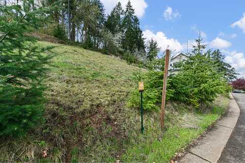 Mountain Ash, Eugene, OR 97405