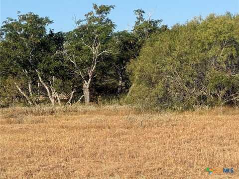 Tbd Fm-1681, Stockdale, TX 78160