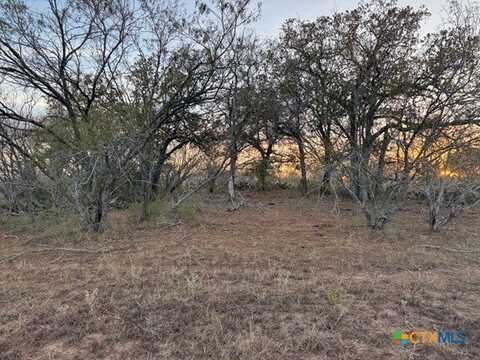 Tbd Fm-1681, Stockdale, TX 78160