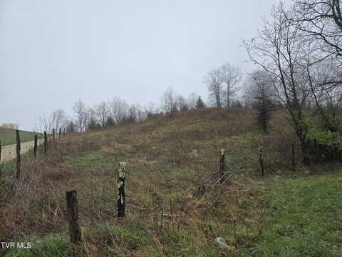 000 Walnut Mountain Road, Roan Mountain, TN 37687