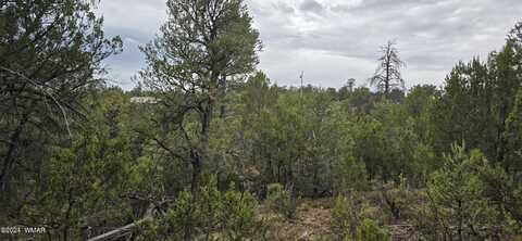1872 Little Doe Trail, Heber, AZ 85928