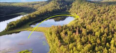 Lc2 Wolverine Lake Front, Palmer, AK 99645