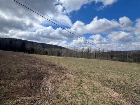 951 County Road 42, Pharsalia, NY 13155