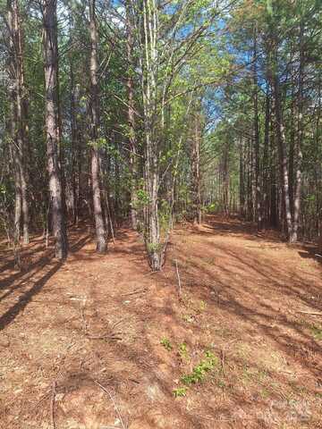 0 King Wilkinson Road, Denver, NC 28037