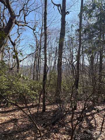 Tbd Leatherwood Road, Maggie Valley, NC 28751