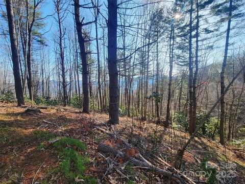 111 Digging Seng Trail unit: 138, Waynesville, NC 28785