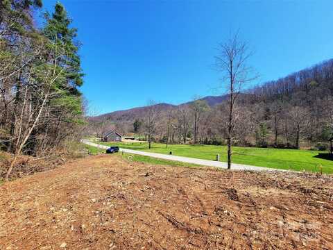 300 Shining Rock Drive unit: 25, Canton, NC 28716