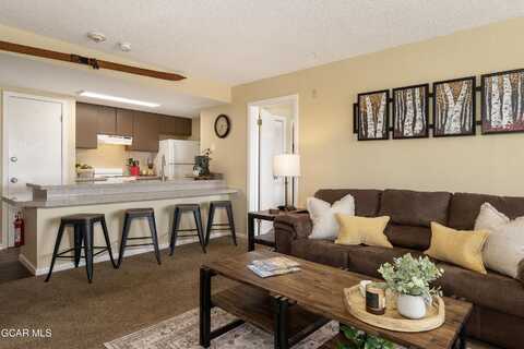 247 Lake Drive unit: 3103, Granby, CO 80446