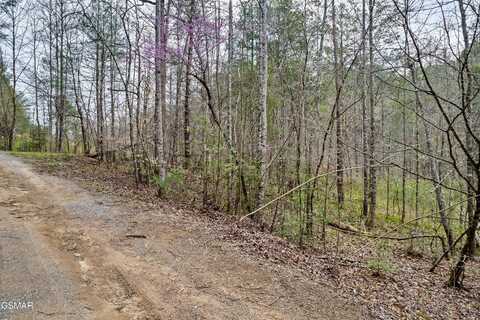Lot 121 Creek Hollow Way, Sevierville, TN 37876