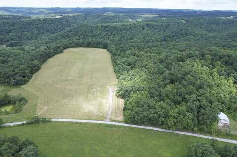 Tbd McRoberts Road, Wallingford, KY 41093