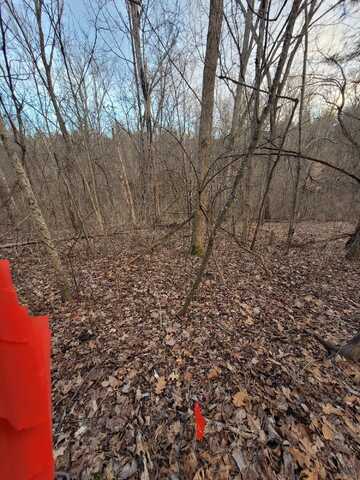 5-2 Lots 13,15,, Corinth, KY 41010