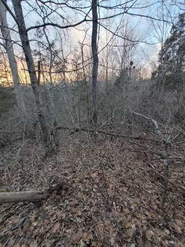 5-1 Lots 16, Corinth, KY 41010