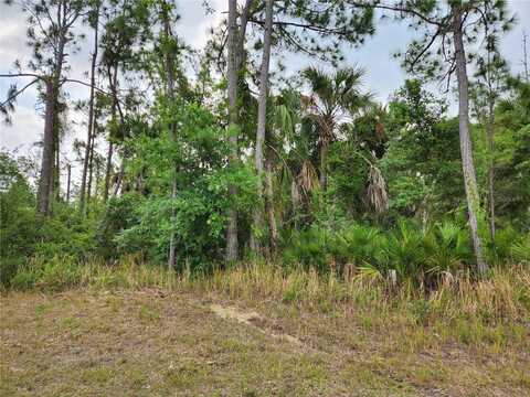 CHICKASAW AVENUE, NORTH PORT, FL 34288