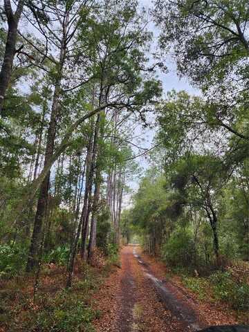 10167 N BOOTY TERRACE, DUNNELLON, FL 34433