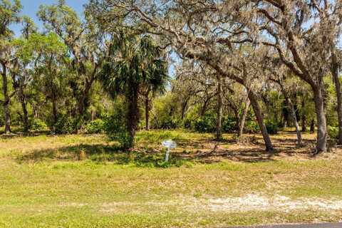 3117 BRIGHT LAKE CIRCLE, GROVELAND, FL 34736