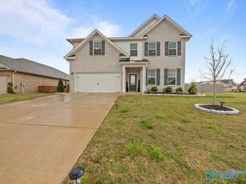 183 Beaver Brook Place, Toney, AL 35773