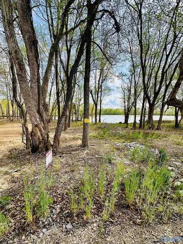 8 County Road 115, Cedar Bluff, AL 35959
