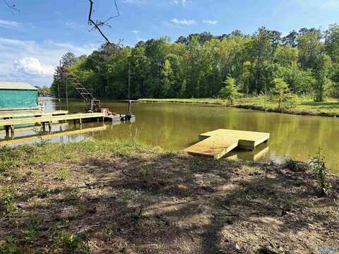 140 County Road 534, Centre, AL 35960