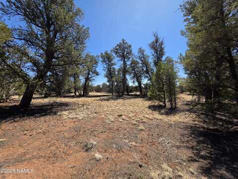 Parcel #50227043a- Bull Run Road, Williams, AZ 86046