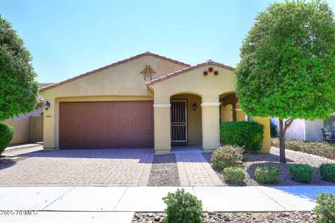 10065 E TIGER LILY Avenue, Mesa, AZ 85212