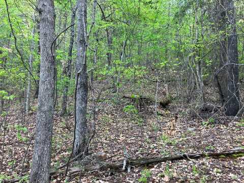 0 Coleman Road, Anniston, AL 36207