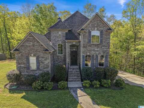 487 FOSSIL ROCK ROAD, SPRINGVILLE, AL 35146