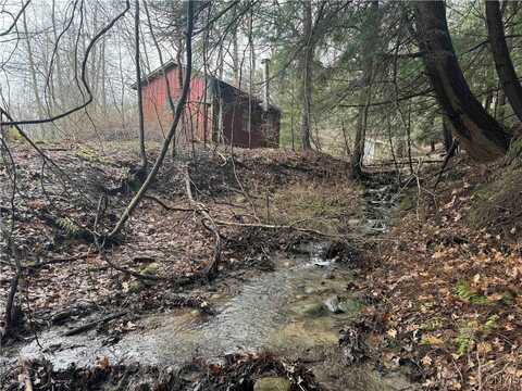 Lovers Lane Road, New Albion, NY 14719