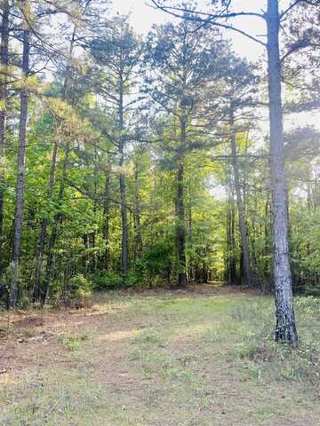 undefined, Doddridge, AR 71834