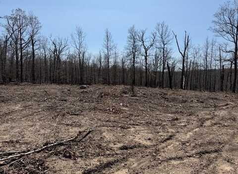 303 Mother Lode Drive, Horseshoe Bend, AR 72512