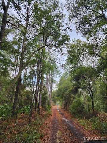 10167 N Booty Terrace, Dunnellon, FL 34433